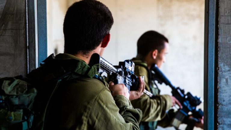NEOČIVAN UDARAC ZA IZRAELSKU VOJSKU: Ušli u Gazu, pa ih roj osa napao – neki imali i po stotinak uboda