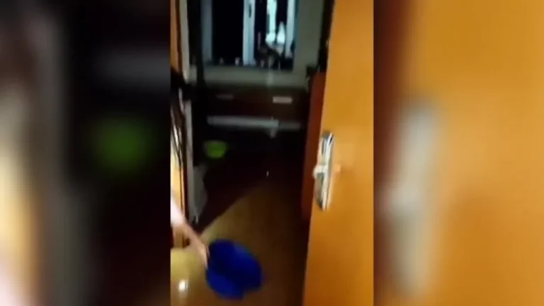 NOVI HAOS U BEOGRADU! Voda kulja sa plafona u Studentskom domu “Mika Mitrović” na Voždovcu (VIDEO)