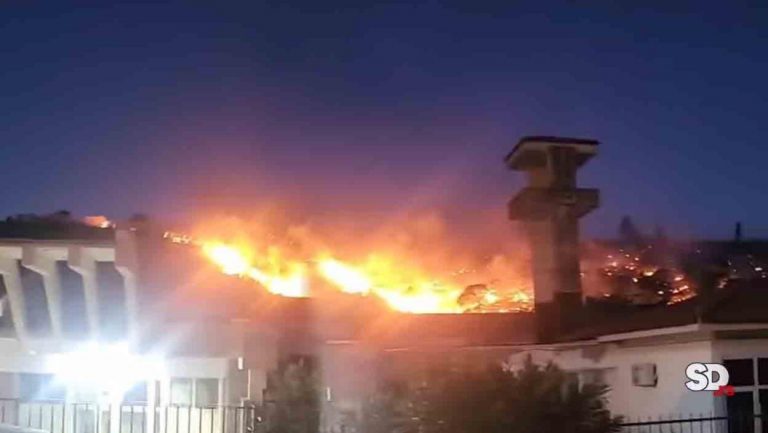 “IZAŠLI SMO ISPRED I GLEDAMO OVU STRAHOTU” Srpkinja za SD opisala horor u Sutomoru: Ovo se sve više i više širi (FOTO/VIDEO)