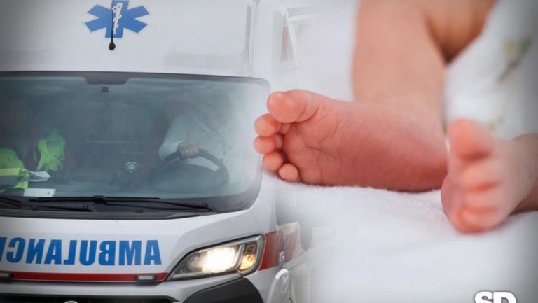 NEVIĐENA TRAGEDIJA: Psi na smrt izujedali TROMESEČNU BEBU u porodičnoj kući