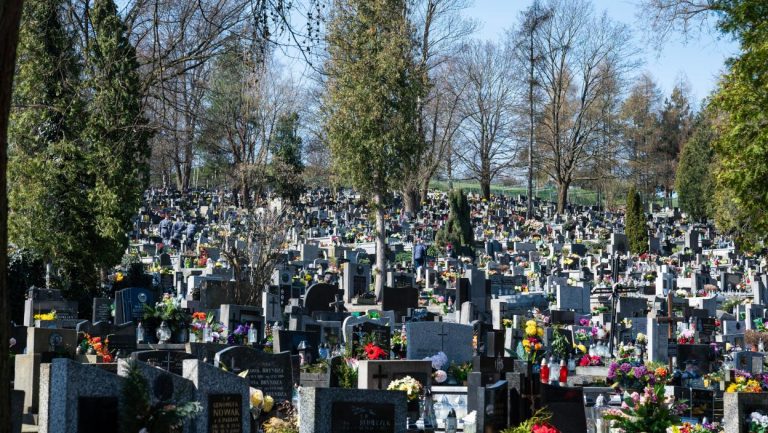 Ko je sa srpske estrade kupio grobno mesto? Pevačica želi da bude sahranjena pored bivšeg, a estradni mag se častio “večnim počivalištem” za rođendan