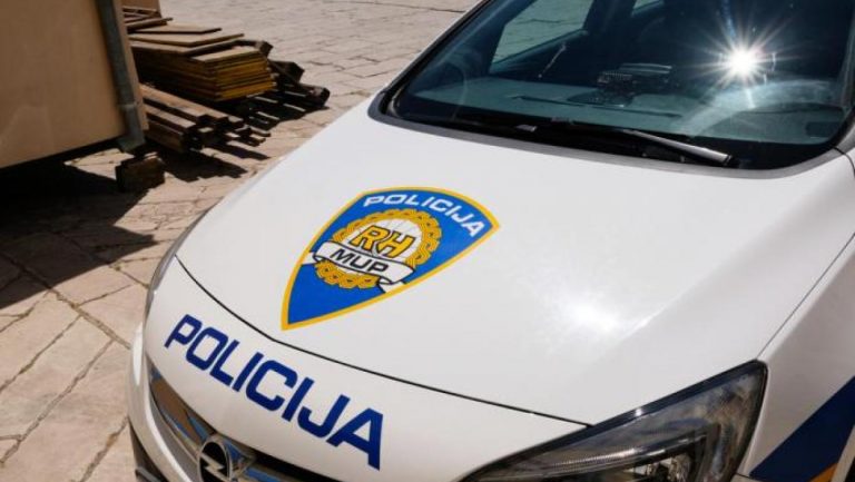 NESVAKIDAŠNJA KRAĐA U POŽEGI: Lopov ukrao magarce! Policija ga intenzivno traži