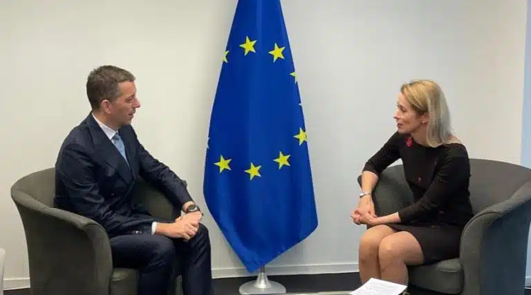 “ČLANSTVO U EU JE STRATEŠKO OPREDELJENJE SRBIJE” Đurić sa Kajom Kalas uoči neformalne večere za MSP u Luksemburgu